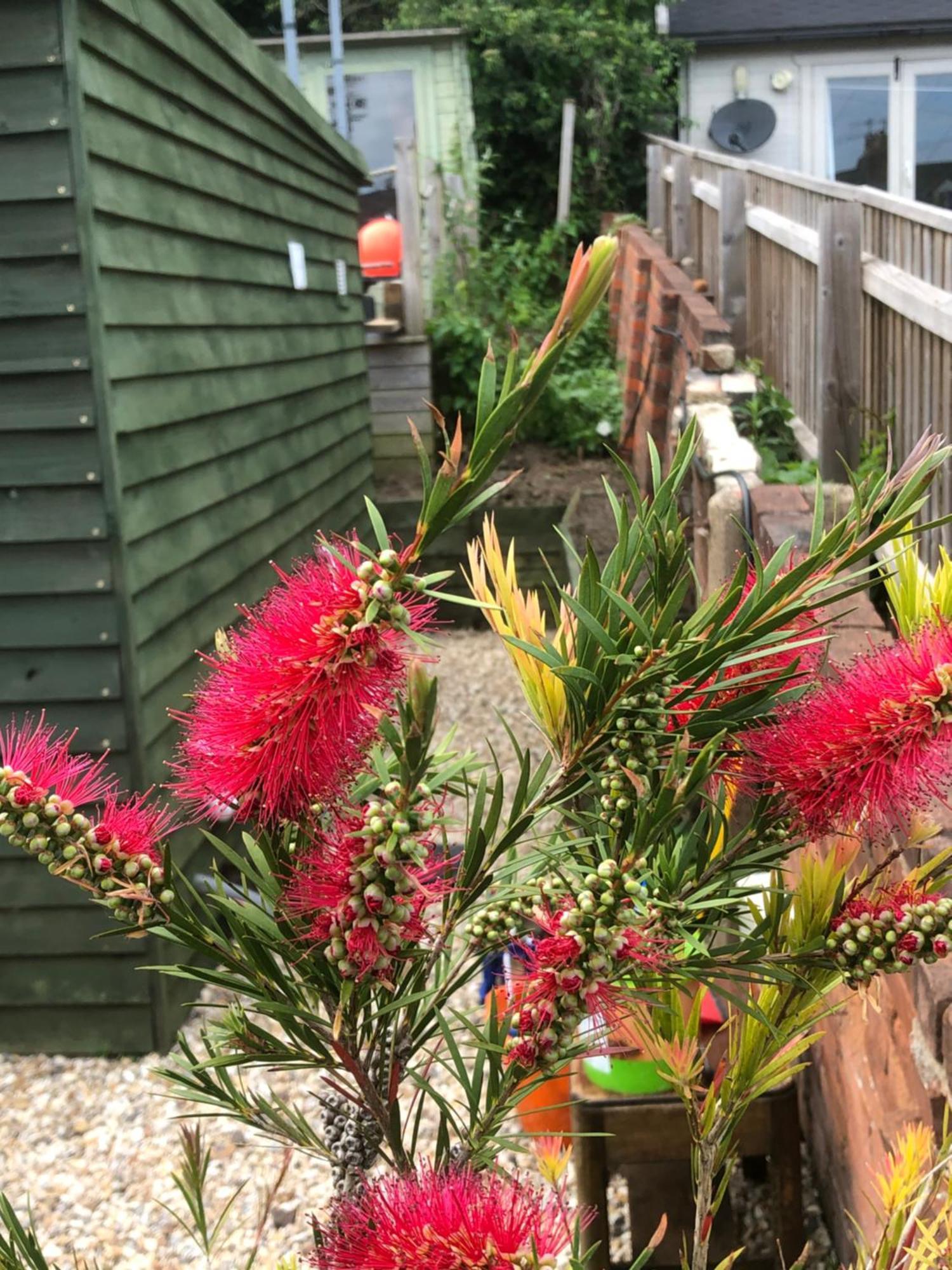 Bridport Garden Suite 外观 照片