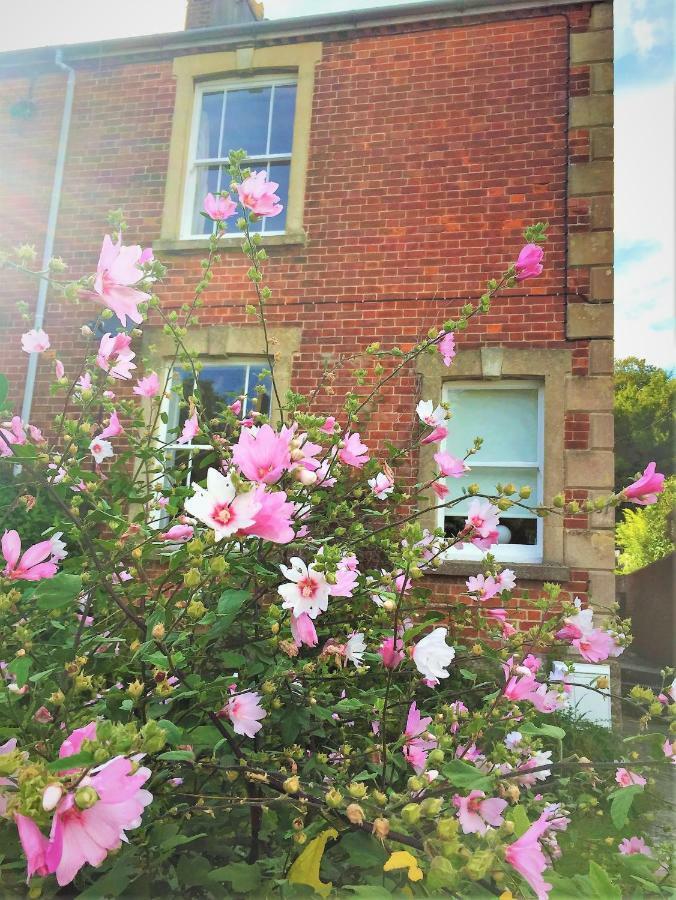 Bridport Garden Suite 外观 照片